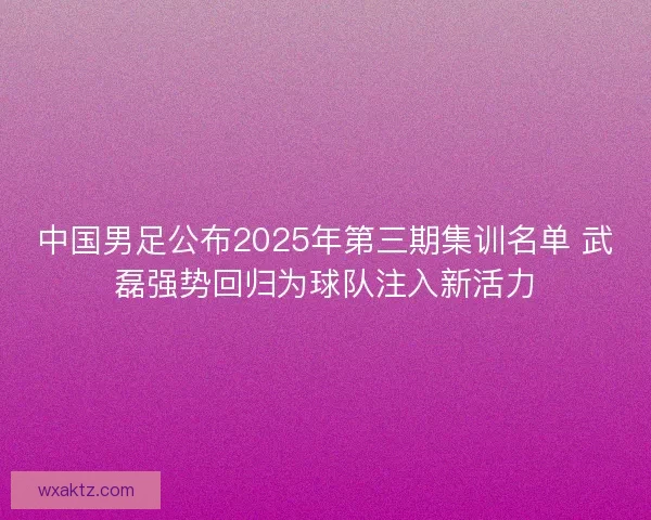 中国男足公布2025年第三期集训名单 武磊强势回归为球队注入新活力